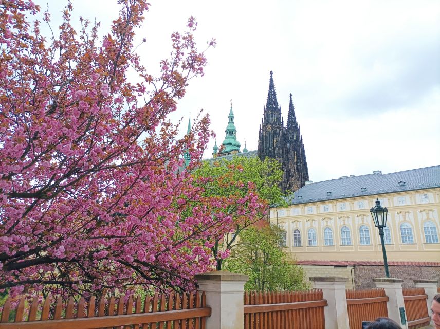 Family Friendly Tour Prague Castle in an Attractive Concept - Key Points