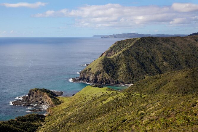 Far North New Zealand Tour Including 90 Mile Beach and Cape Reinga From Paihia - Key Points