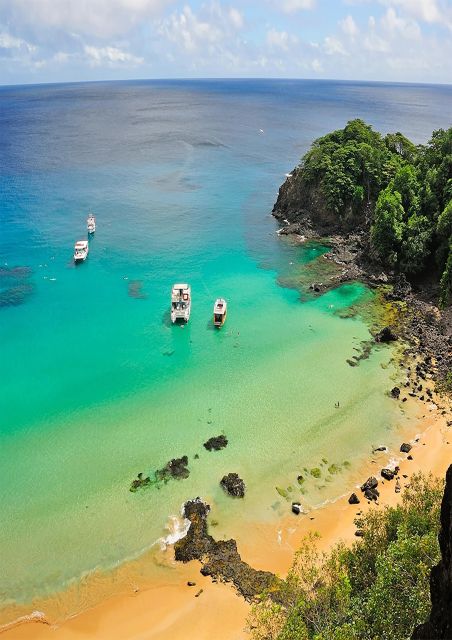 Fernando De Noronha: 7-Hour Island Adventure - Key Points