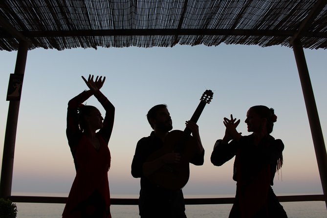 Flamenco Show and BBQ Dinner by the Sea  - Marbella - Just The Basics