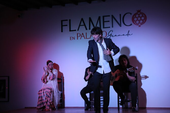 Flamenco Show Ticket at Palacio Siglo XVI - Key Points