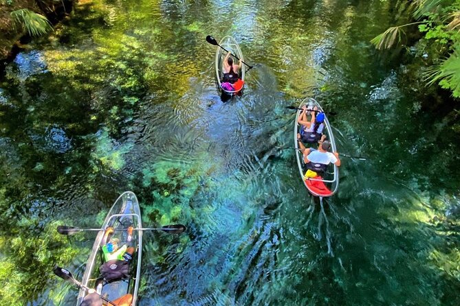 Florida: Silver Springs Small-Group Clear Kayaking Tour (Mar ) - Just The Basics