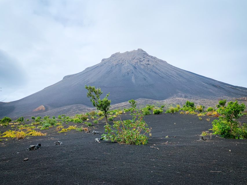 Fogo Island: Pico Do Fogo Volcano Summit Hike - Key Points