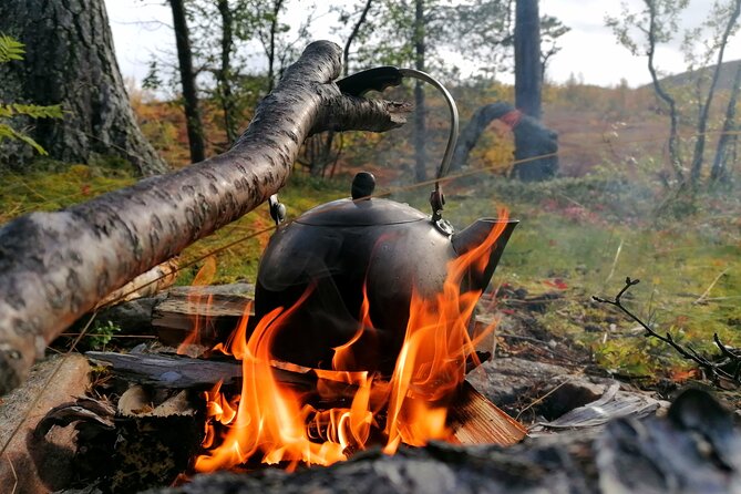 Forest Hike With Arctic Outdoor Skills and Campfire Coffee - Event Overview
