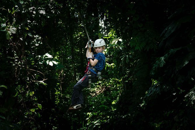 Four-Hour Zip Line Tour Through the Rainforest and Platforms  - Limon - Key Points