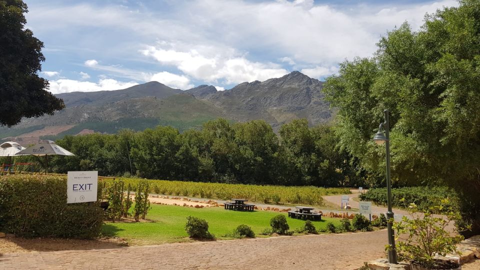 Franschhoek & Stellenbosch: Full-Day Wine Tour - Key Points