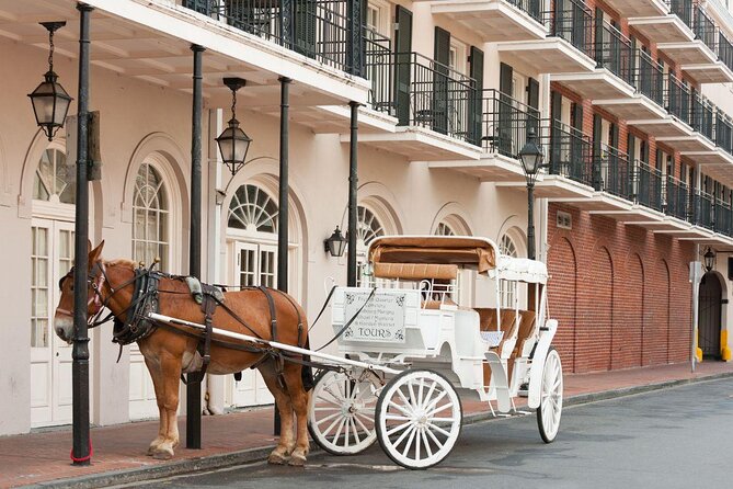 French Quarter and Marigny Neighborhood Carriage Ride - Just The Basics