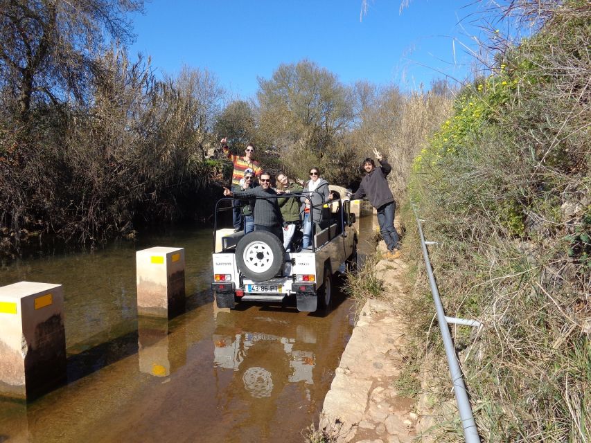 From Albufeira: Half-Day Algarve Jeep Safari - Key Points