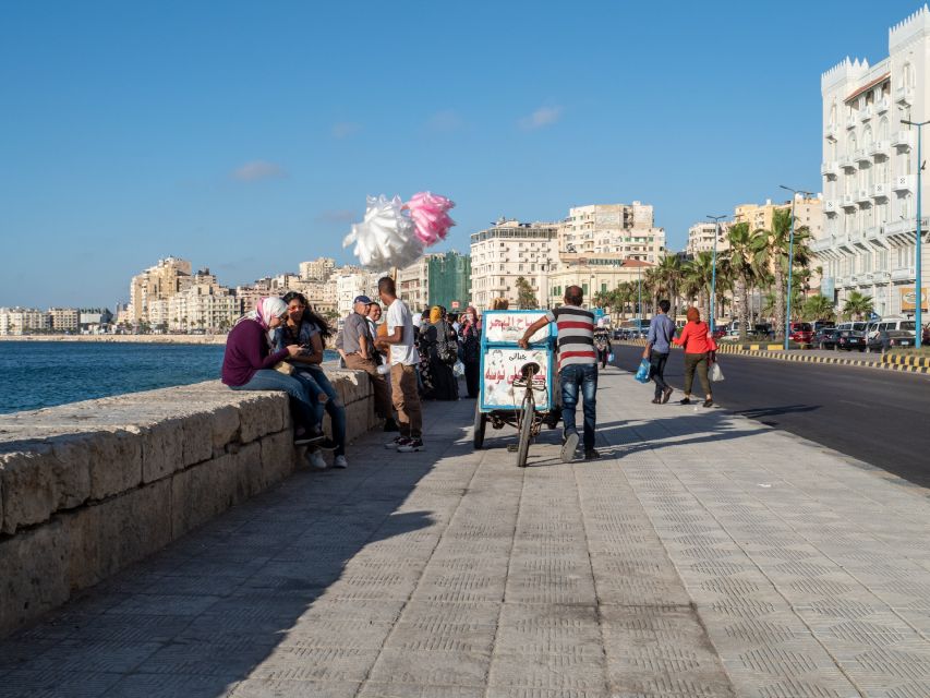 From Alexandria:- Alexandria Top Highlights Half-Day Tour - Key Points