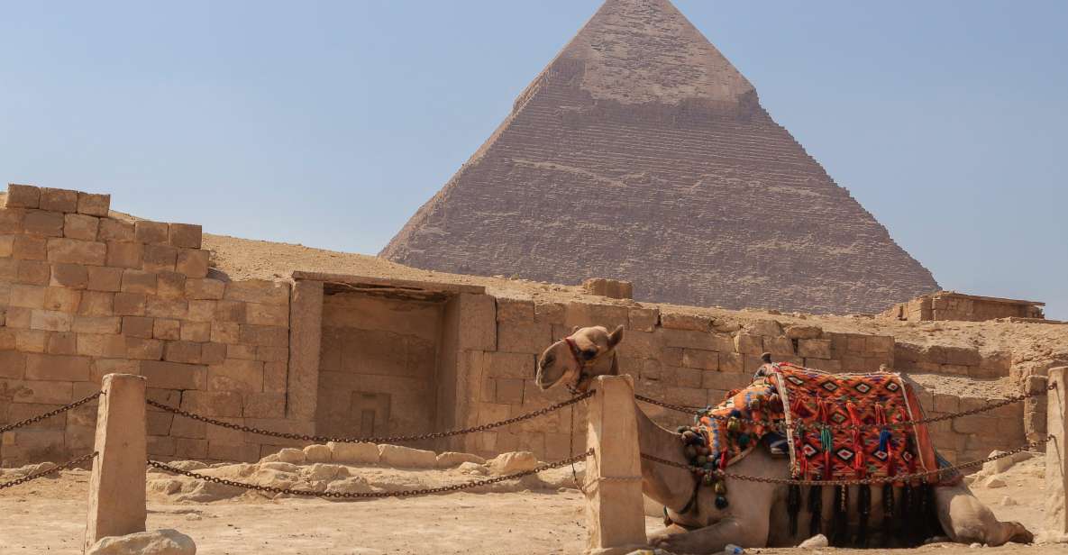 From Alexandria: Cairo, Pyramids & Egyptian Museum Day Tour - Key Points