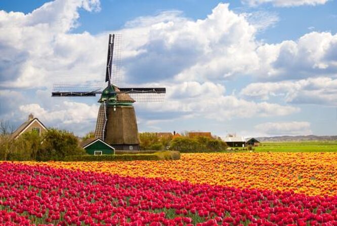 From Amsterdam: Full Day Tour Keukenhof & Zaanse Schans Windmills - Key Points