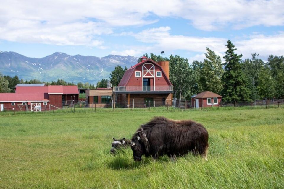From Anchorage: Scenic Drive and Guided Musk Ox Farm Tour - Key Points