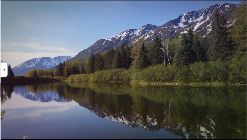 From Anchorage: Wilderness, Wildlife, & Glacier Experience - Key Points