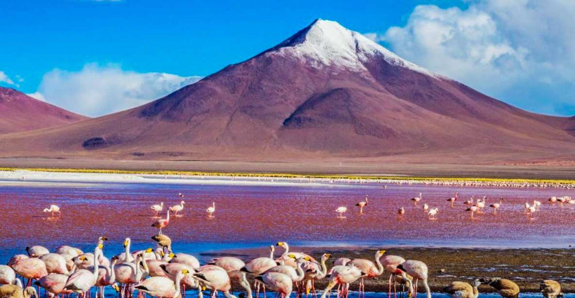 From Atacama Uyuni Salt Flat 4 Days the Largest Salt Flat - Key Points