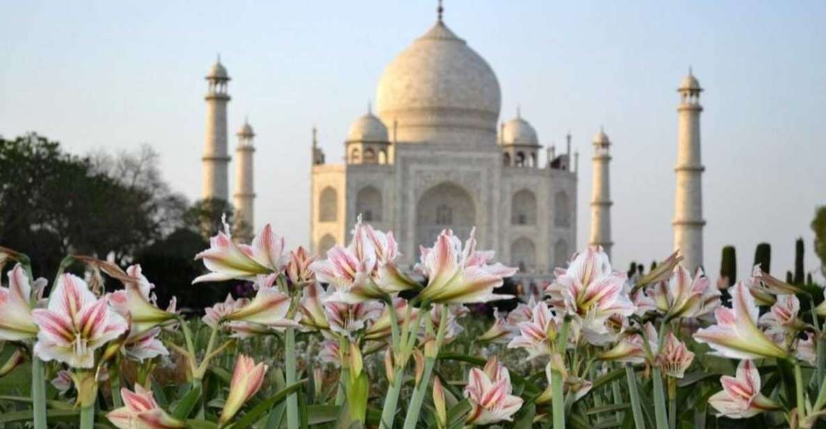 From Banglore: Private Guided Tajmahal Day Trip With Lunch - Key Points