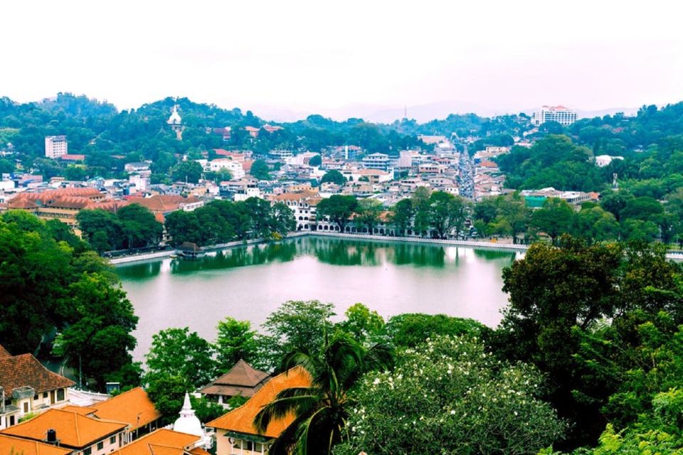 From Bentota: Kandy Tour With Tooth Temple & Gardens Visit - Key Points