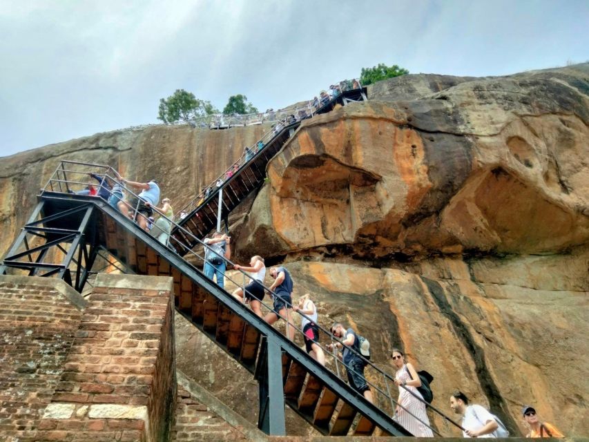 From Bentota: Sigiriya Lion Rock & Dambulla Cave Temple Tour - Key Points