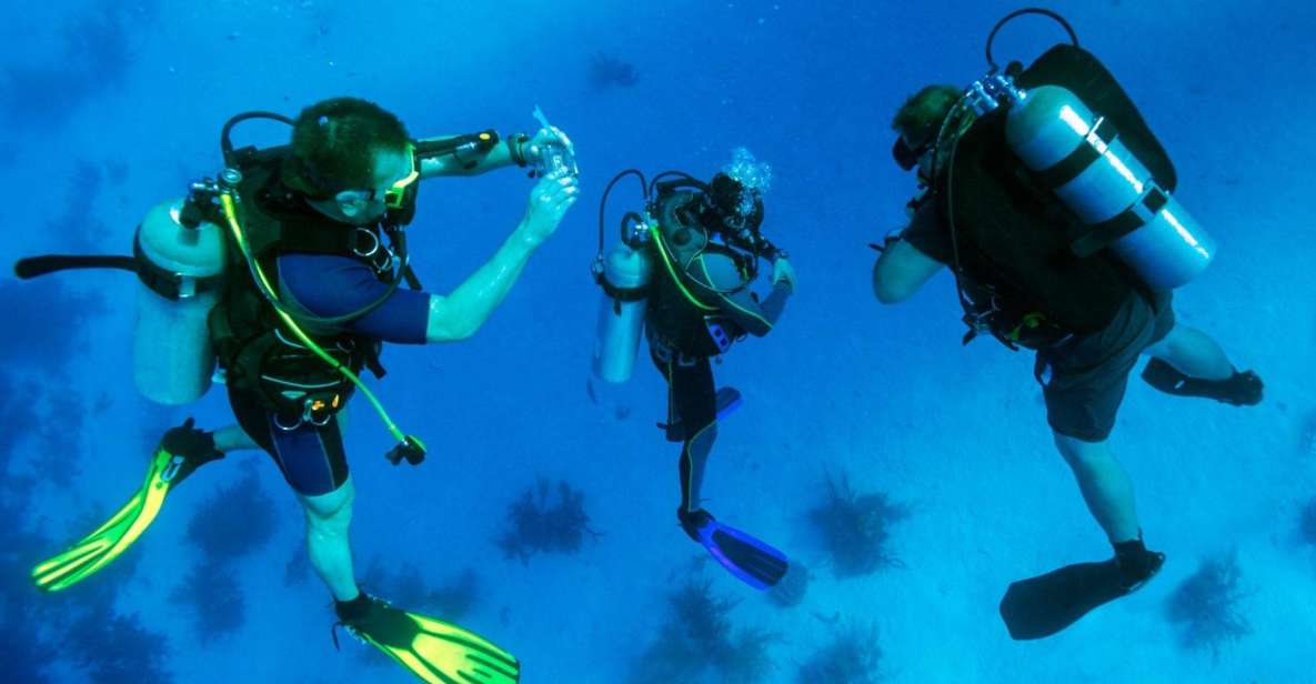 From Bodrum: Scuba Diving in the Aegean Sea - Key Points
