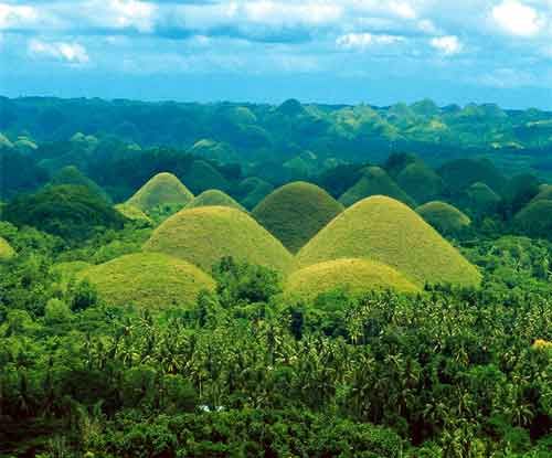 From Bohol: Full-Day Countryside Tour - Key Points