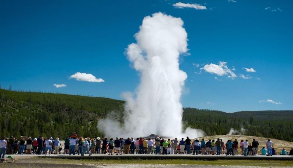 From Boseman: Yellowstone Day Tour Including Entry Fee - Key Points