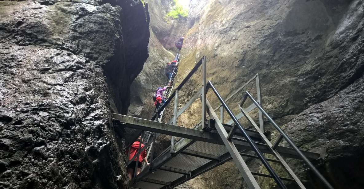 From Brasov: Day Trip to the Seven Ladders Canyon - Experience Highlights