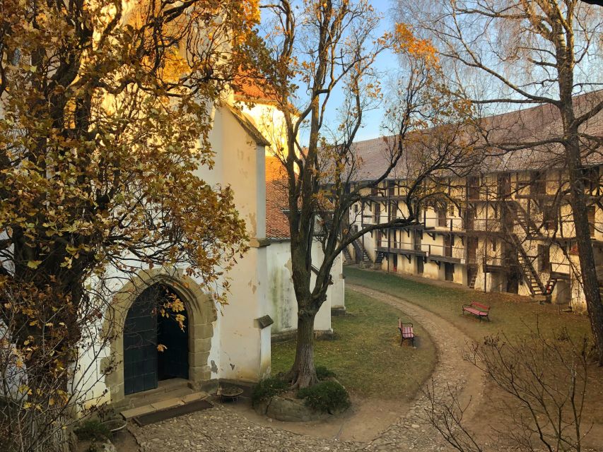 From Brasov: Small-Group Half-Day Fortified Churches Tour - Key Points