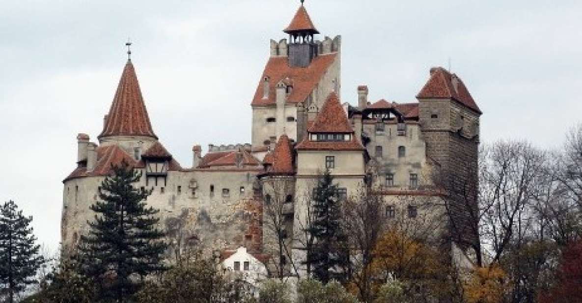 From Bucharest: Private Dracula and Peles Castles Day Tour - Tour Highlights
