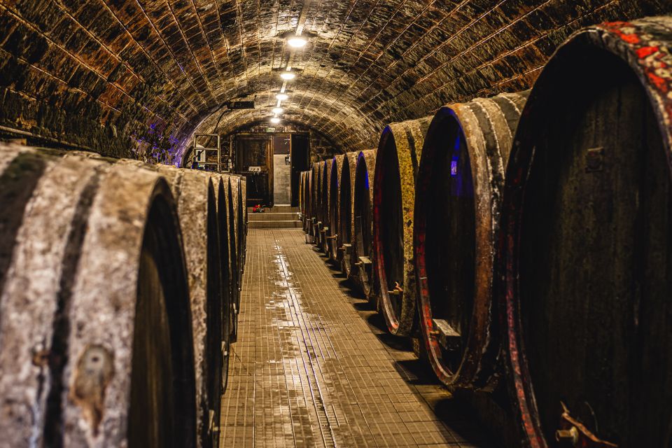 From Budapest: Mátra Hills Wine Tour - Key Points