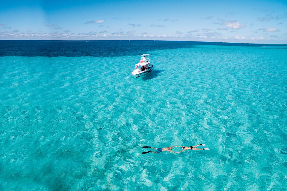 From Cancún: Cozumel Snorkeling Tour - Key Points