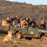 from cape town 5 day garden route addo elephant park tour From Cape Town: 5-Day Garden Route & Addo Elephant Park Tour