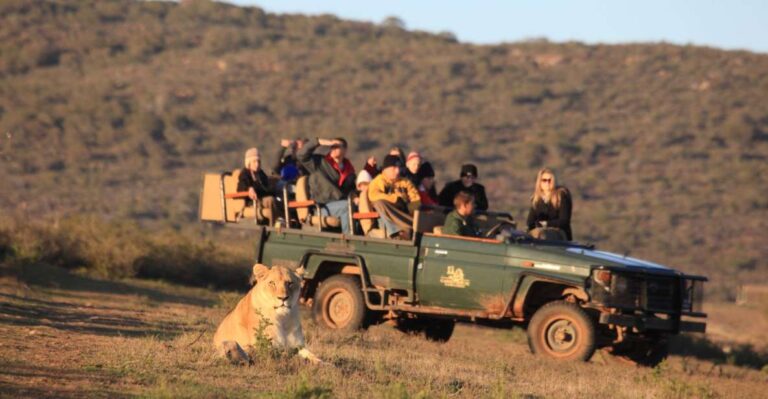 From Cape Town: 5-Day Garden Route & Addo Elephant Park Tour