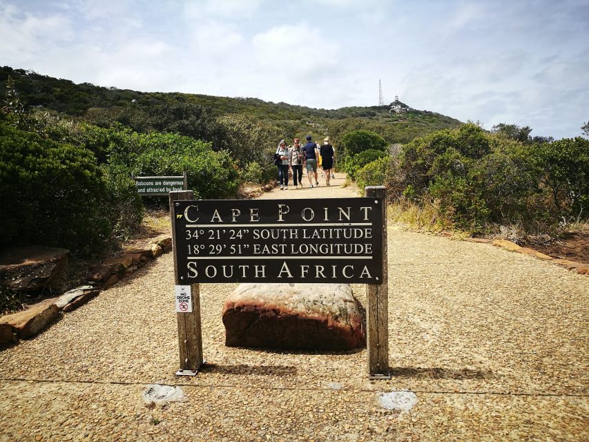 From Cape Town: Best of Cape Private Tour With Wine Tastings - Just The Basics