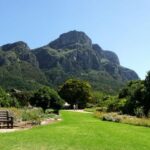 from cape town cape peninsula full day guided tour From Cape Town: Cape Peninsula Full-Day Guided Tour