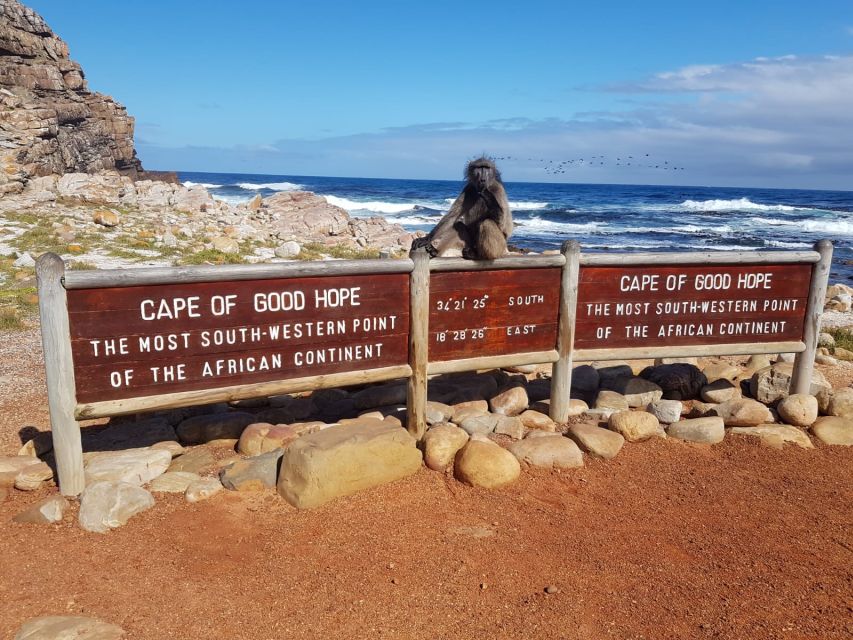 From Cape Town: Cape Point and Boulders Beach Full-Day Tour - Just The Basics