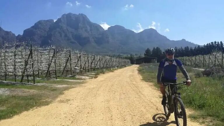 From Cape Town: Cape Winelands E-Bike Tour With Lunch & Wine