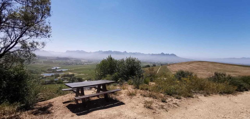 From Cape Town: E-Bike Winelands Tour - Just The Basics