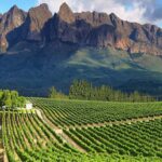 from cape town full day cape winelands tour From Cape Town: Full-Day Cape Winelands Tour