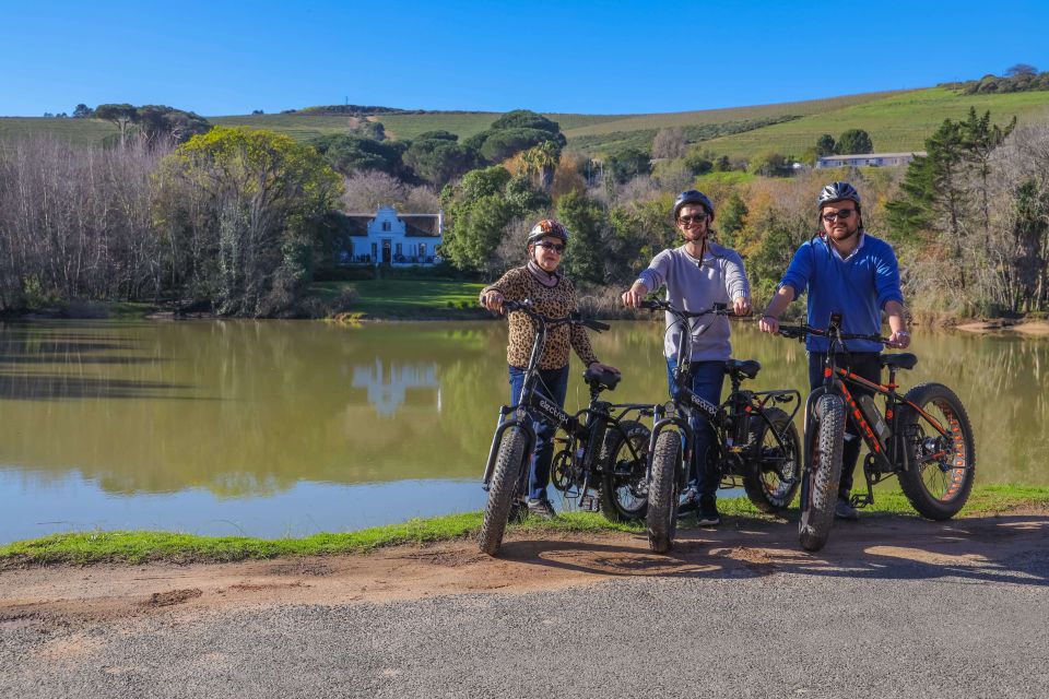 From Cape Town: Half-Day Winelands E-Bike Tour - Key Points