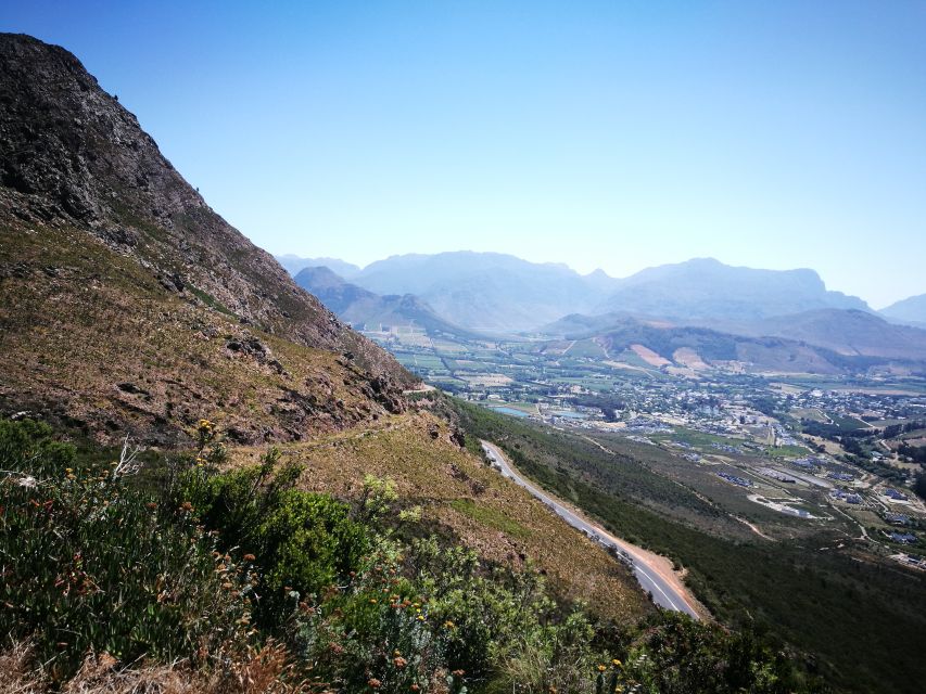 From Cape Town or Stellenbosch: Scenic Coastline Day Tour - Just The Basics