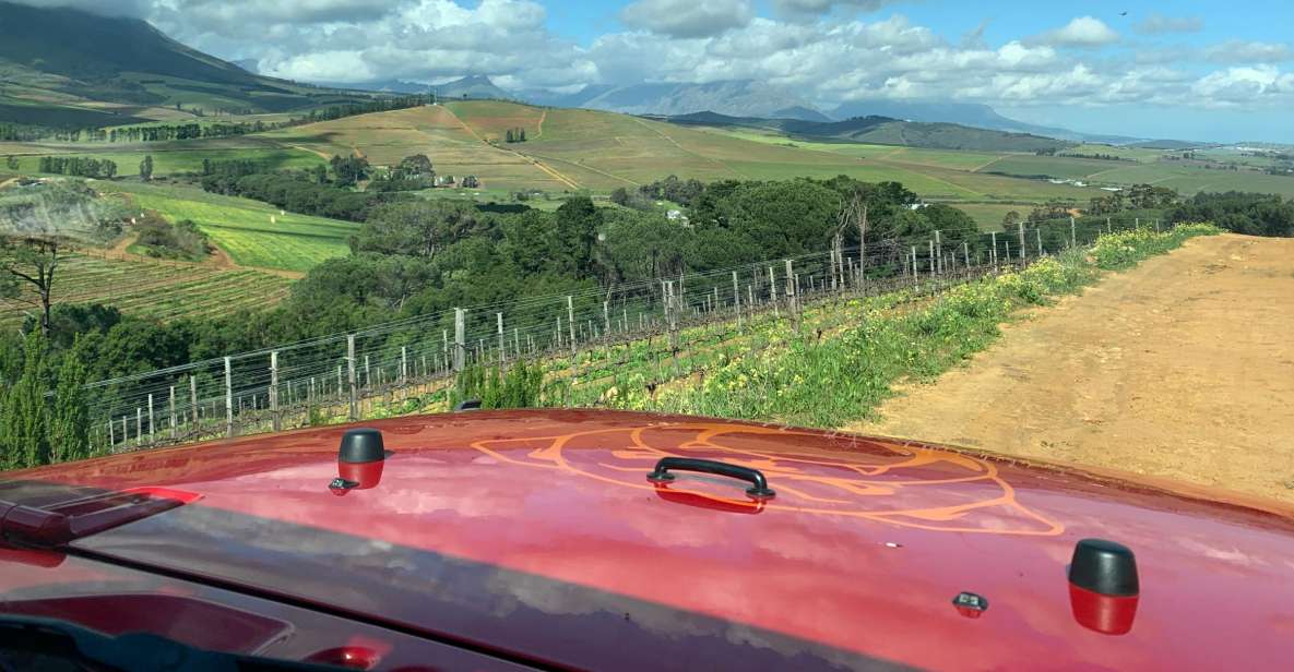 From Cape Town: Stellenbosch Wine Tour - Just The Basics