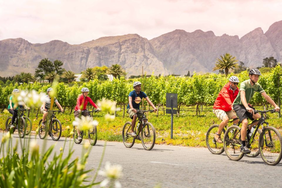 From Cape Town: Winelands Cycling Tour - Just The Basics