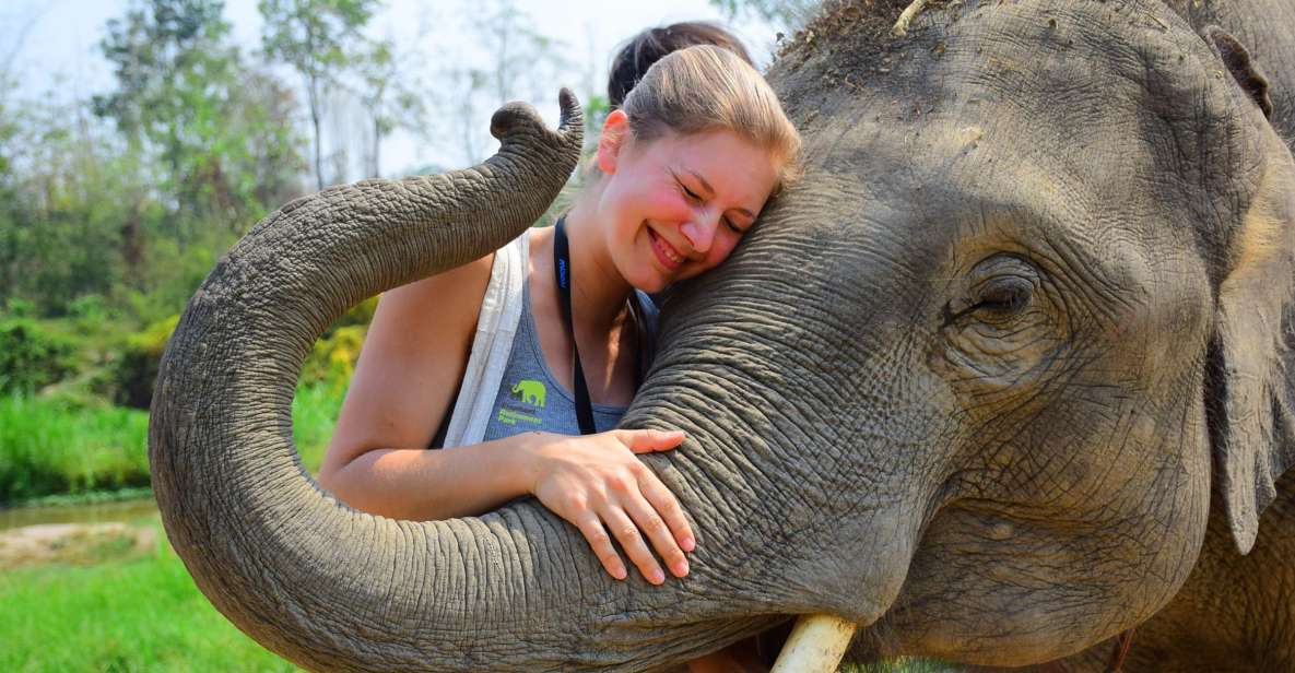 From Chiang Mai: Elephant Care Program and Nursery Tour - Key Points