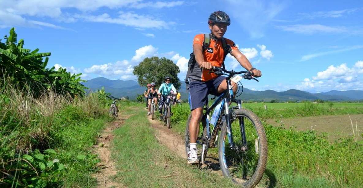 From Chiang Mai: Mae Taeng Valley and Waterfalls Cycle Tour - Key Points