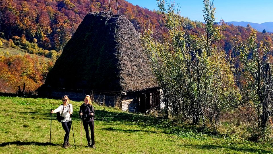 From Cluj-Napoca: Apuseni Mountains Hiking Guided Day Tour - Key Points