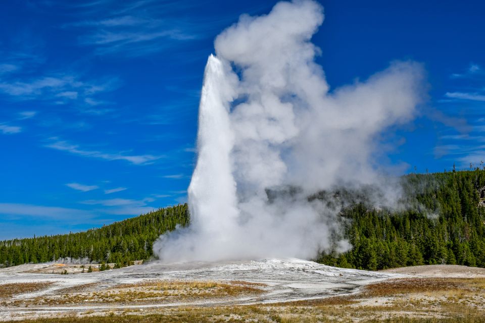 From Cody: Full-Day Yellowstone National Park Tour - Key Points