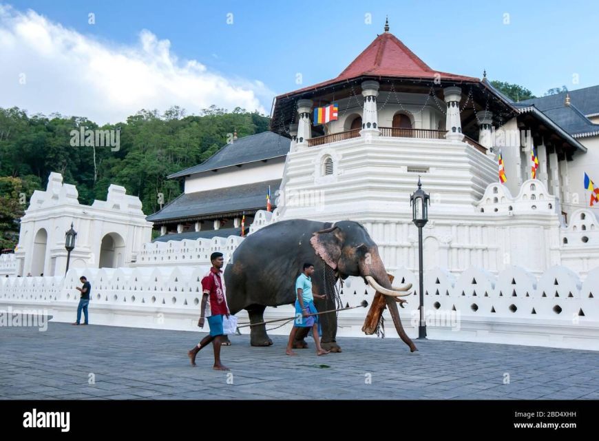 From Colombo: Kandy, Pinnawala and Tea Factory Full-Day Trip - Key Points