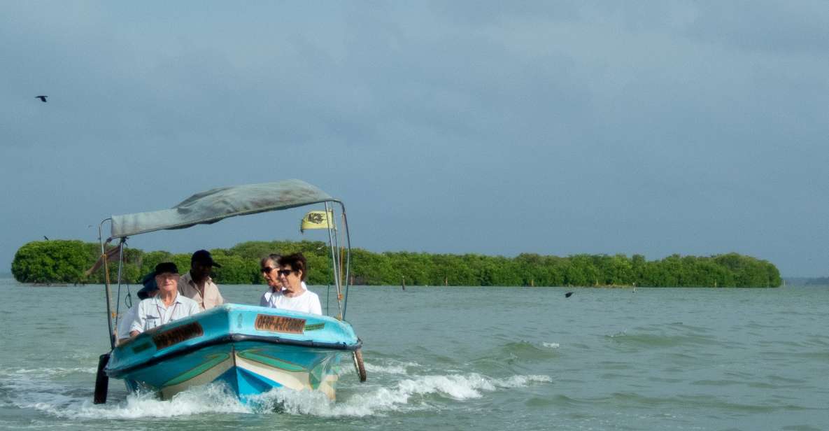 From Colombo: Negombo Lagoon (Mangrove )Boat Excursion - Key Points