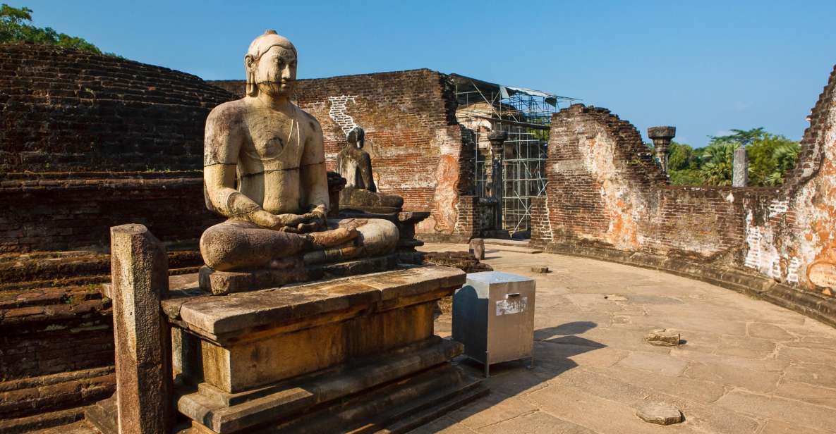 From Dambulla: Private Polonnaruwa and Minneriya Day Tour - Key Points
