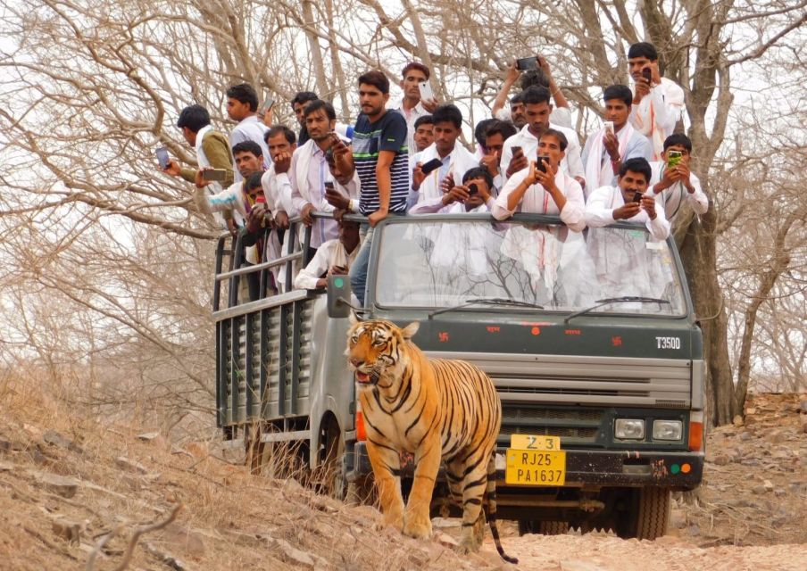 From Delhi: 3-Day Jim Corbett National Park Private Safari - Key Points