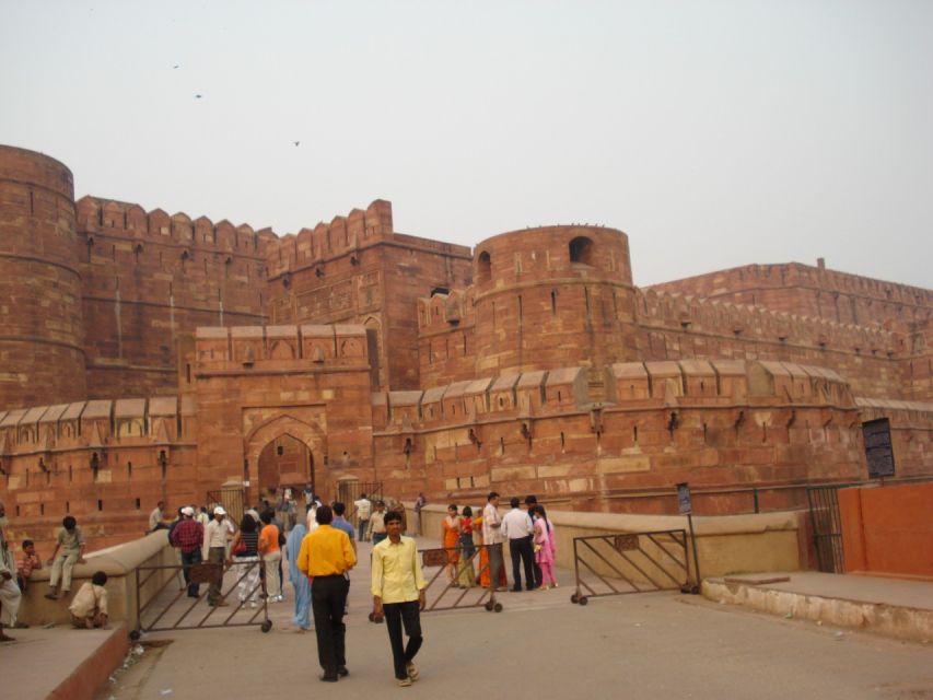 From Delhi: 8-Day Jaipur, Ranthambore, Bharatpur & Agra Tour - Key Points